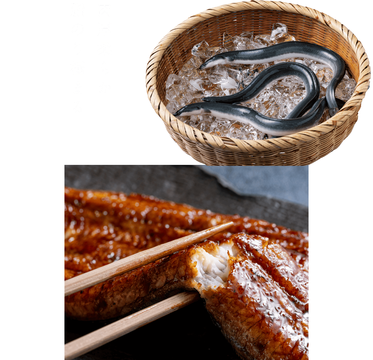 肉厚柔らか脂のり極まる