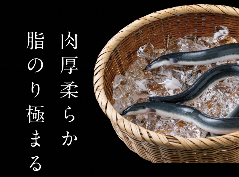 肉厚柔らか脂のり極まる