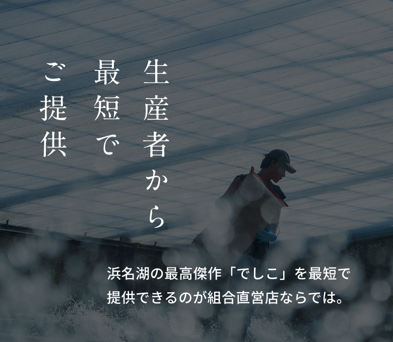 生産者から最短でご提供。浜名湖の最高傑作「でしこ」を最短で提供できるのが組合直営店ならでは。