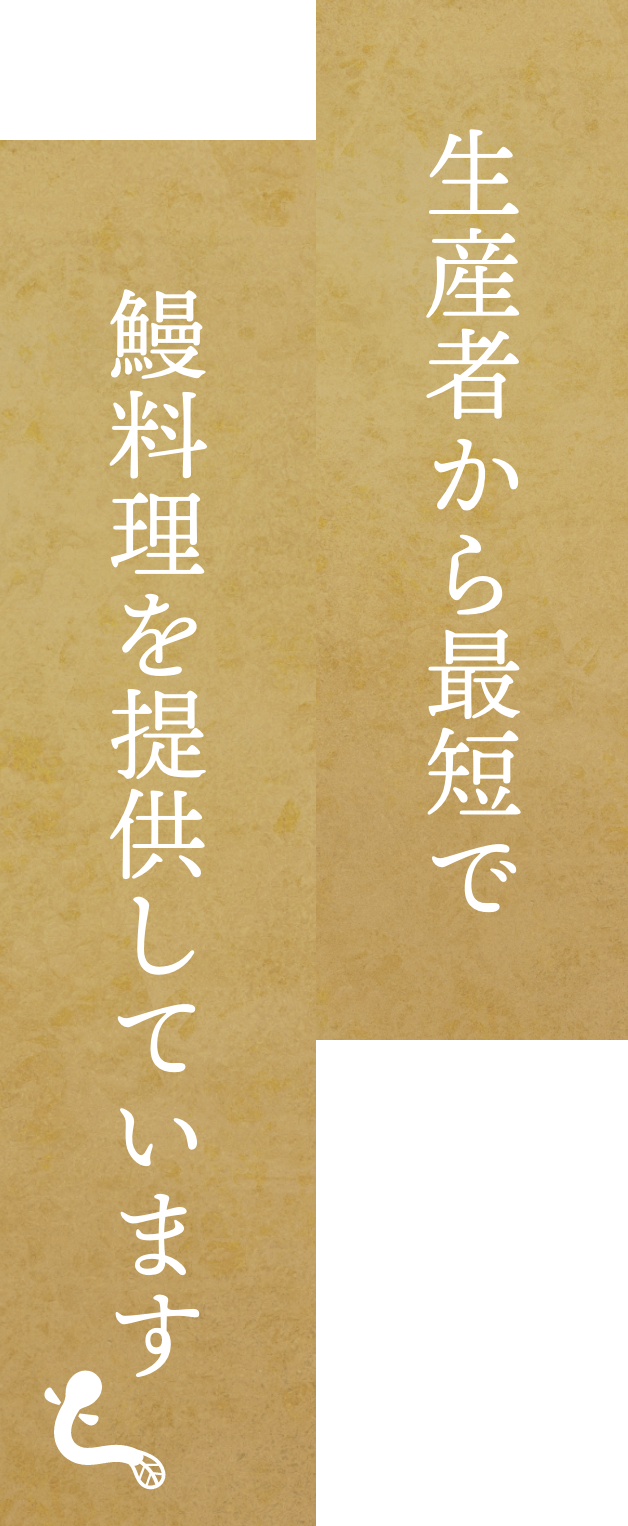 生産者から最短で鰻料理を提供しています