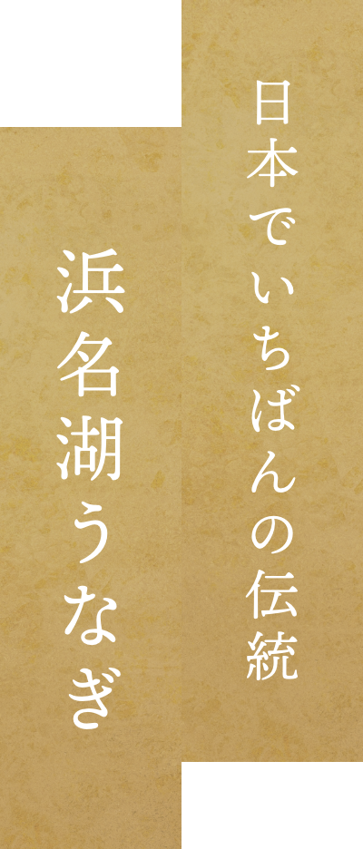 日本でいちばんの伝統 浜名湖うなぎ